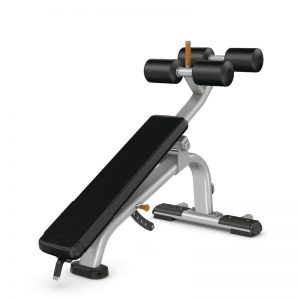 Precor DBR113 Adjustable Ab Bench Precor DBR113 Adjustable Ab Bench