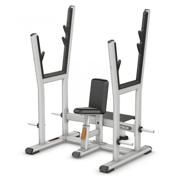 Precor DBR0312 Back Extension Fitline Fitness USA