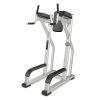 Precor-DBR0702-Vertical-Knee-Up-1