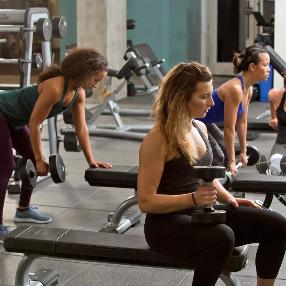 Precor DBR-101 flat bench used for dumbbell curls in a premium gym setting