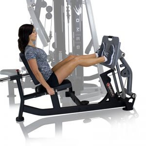 Batca Fitness Systems Omega-2 Multi-Gym – Fitline Fitness USA