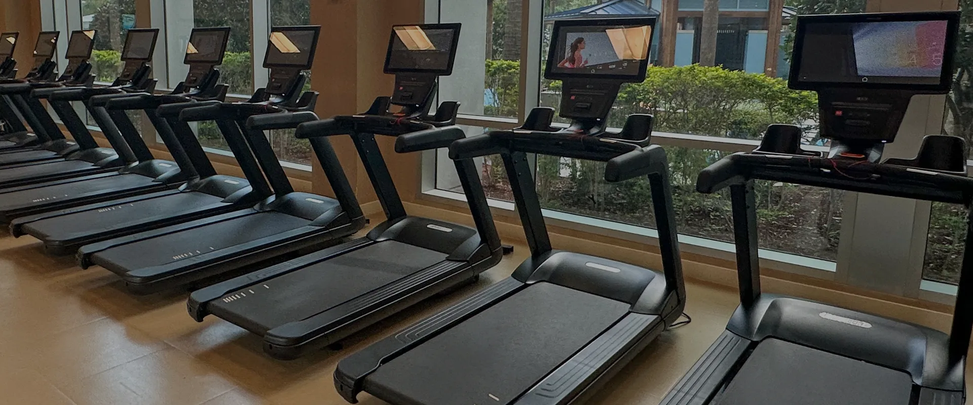 Precor 800 Series treadmills lined up