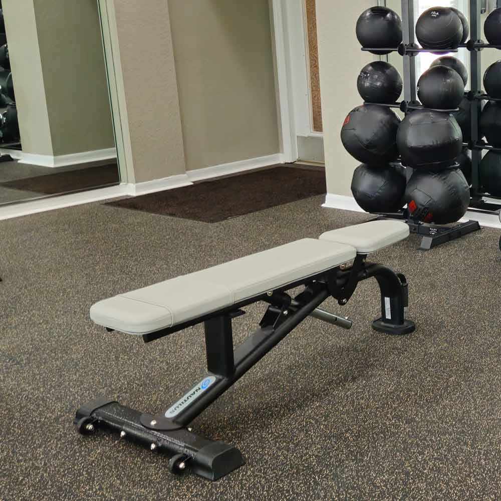 Nautilus Instinct multi-adjustable bench rear angle view in the fitness center at Andover Place apartments in Tampa, Florida