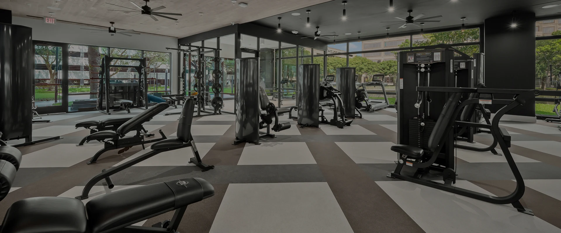 PMX ProMaxima Essential Dual Function Strength Series in a commercial fitness facility