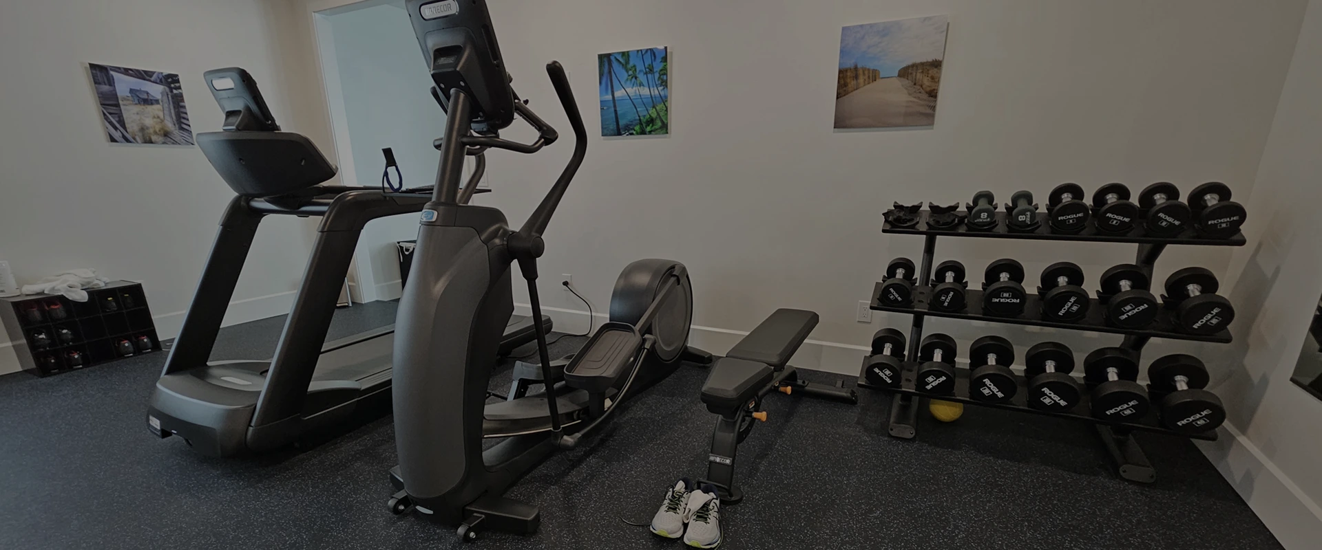 Premium home gym featuring Precor treadmill, elliptical, dumbbells, and modern fitness room design